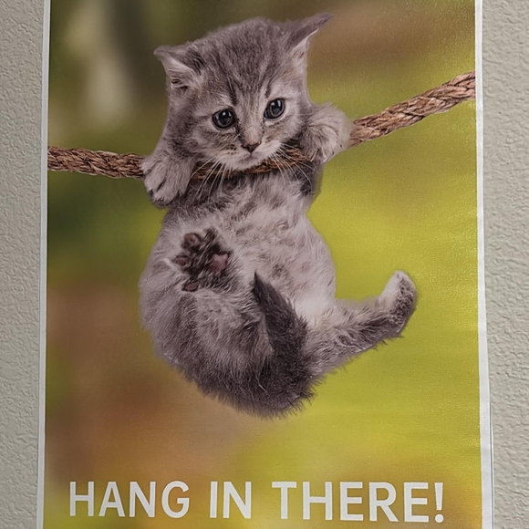 My Bio - Picture 5 of 8